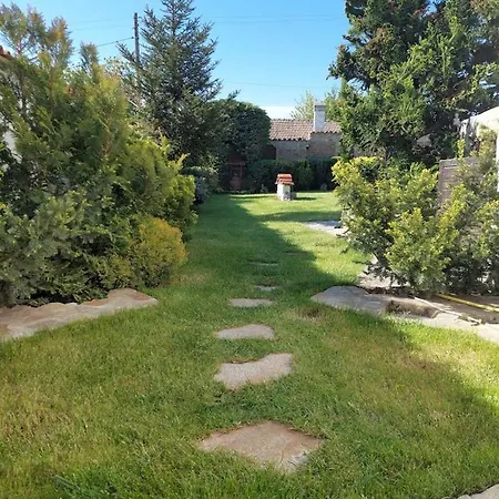 Paradise Garden