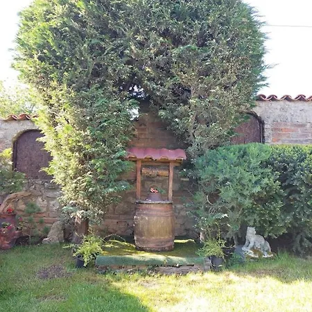 Paradise Garden *